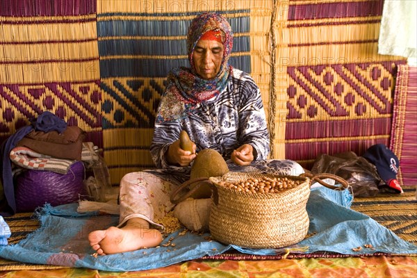 The nuts of the argan tree are difficult to crack open