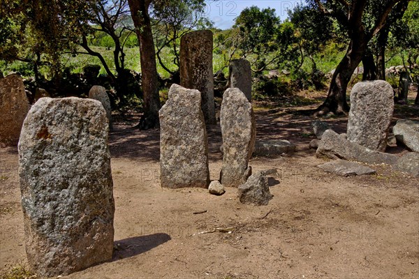 Menhir statues