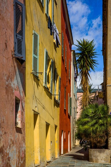 Narrow alleys in the citadel