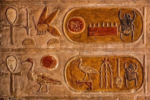 Hieroglyphic cartouche of Thutmosis III. funerary temple of the pharaoh Hatshepsut