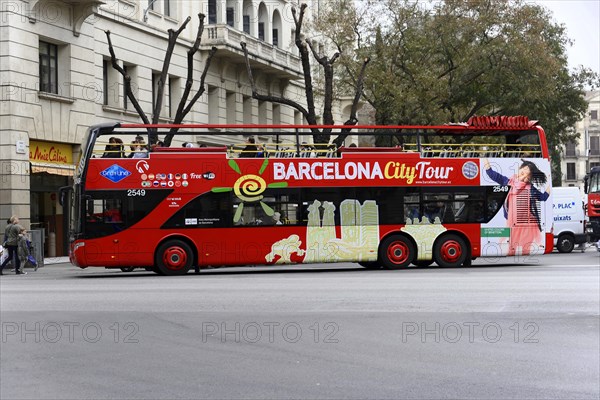 Sightseeing Bus