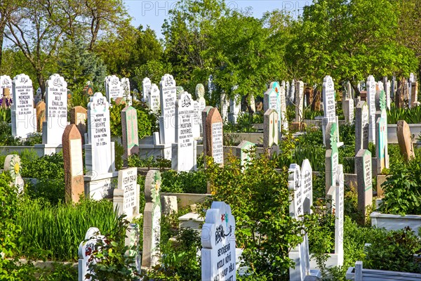 Muslim Cemetery