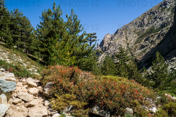 Hiking to the mountain lake Lac de Melo