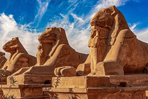 Ram sphinxes in front of the 1st pylon with the statue of Ramses II between the legs