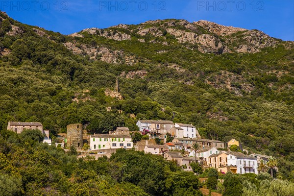 Rogliano on the hillside with Genoese tower