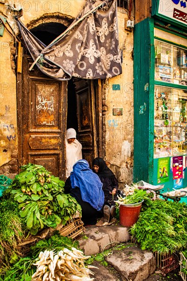 Vegetable trade