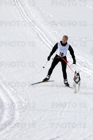 Musher with sled dog team