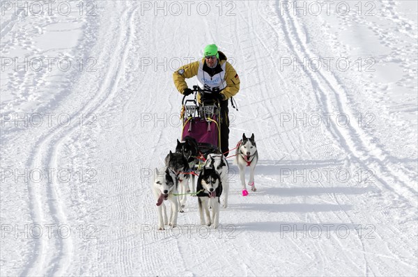 Musher with sled dog team