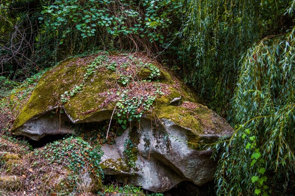 Natural rock shelter