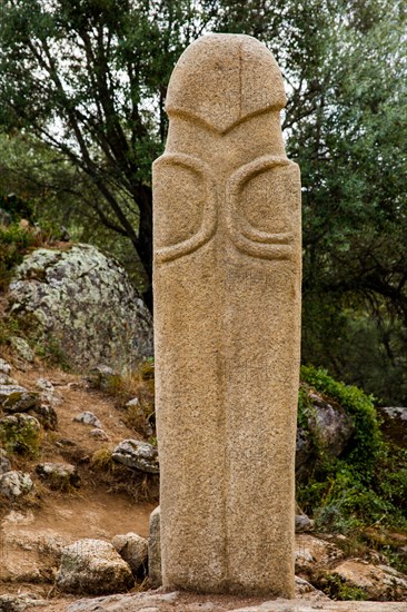 Menhir statue with elaborated back view