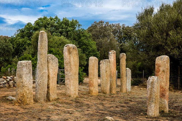 Menhir Statues