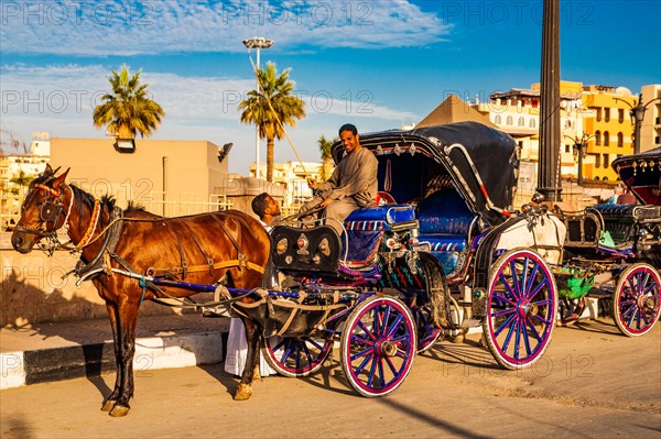 Horse-drawn carriages wait for passengers at all tourist attractions