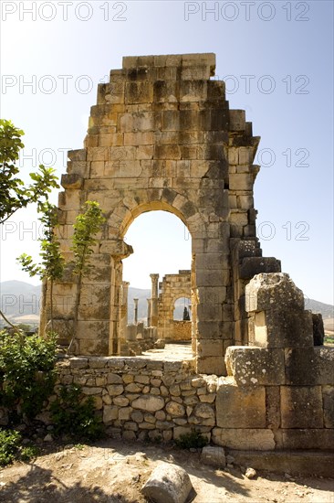 Magnificent complexes at ancient Volubilis