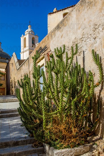 Cathedral of St Jean Baptiste