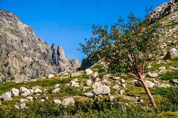 Hiking to the mountain lake Lac de Melo