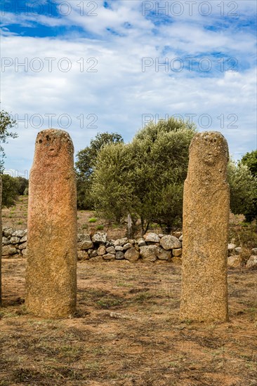 Menhir Statues