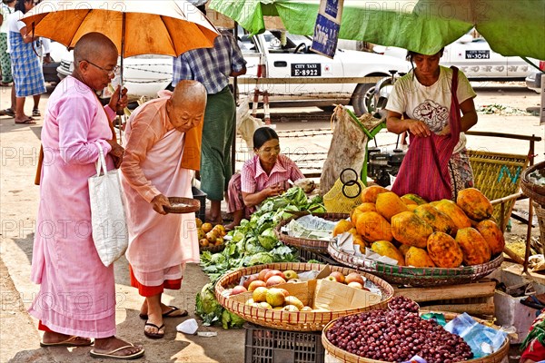 Female monks with begging bowl