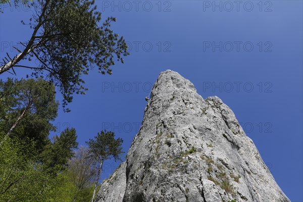 Climbing