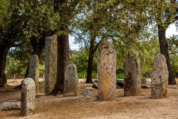 Menhir statues