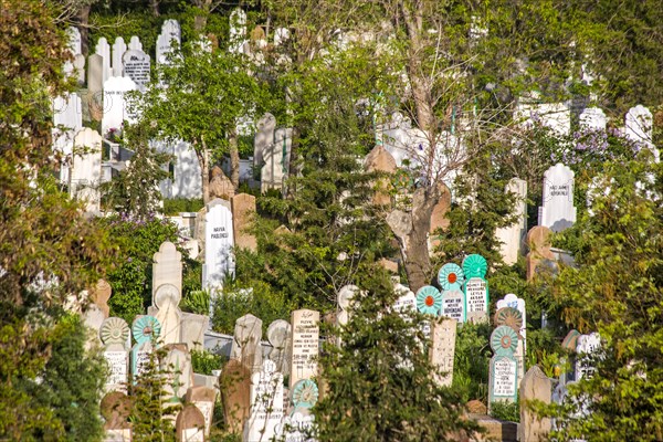 Muslim Cemetery