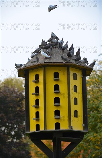 Dovecote