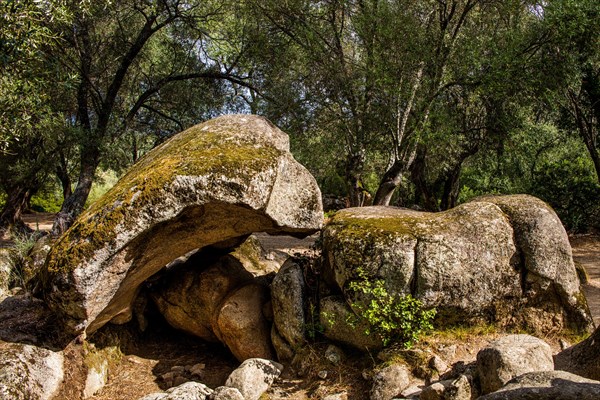 Natural rock shelter