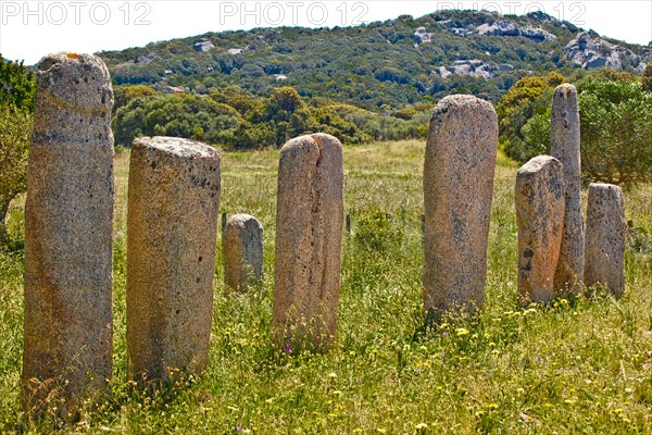 Menhir Statues