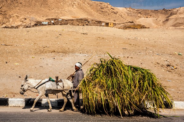 Workers' settlement Deir el-Medina