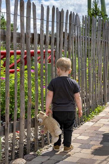 Toddler aged 3 with teddy in his hand