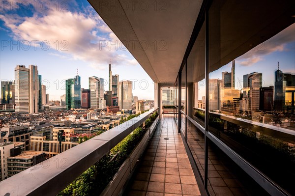 Skyscraper view of the Frankfurt skyline