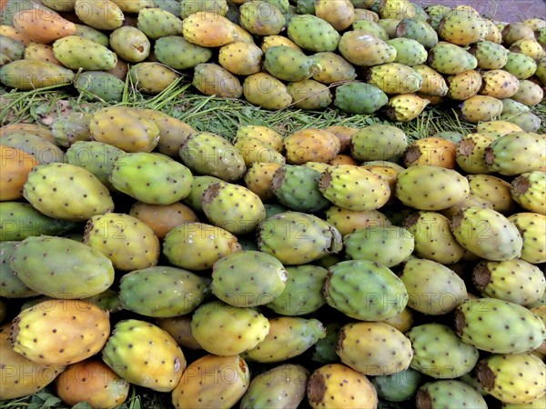 Prickly pears at the vegetable market