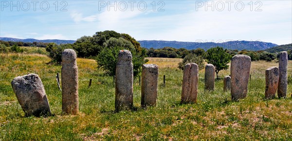 Menhir Statues