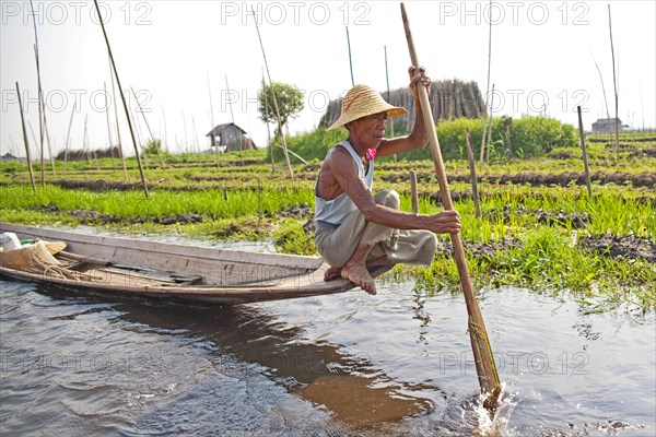 Floating fields