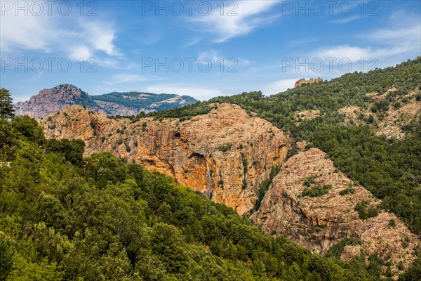 Spelunca Gorge on the west side of the Col de Vergio