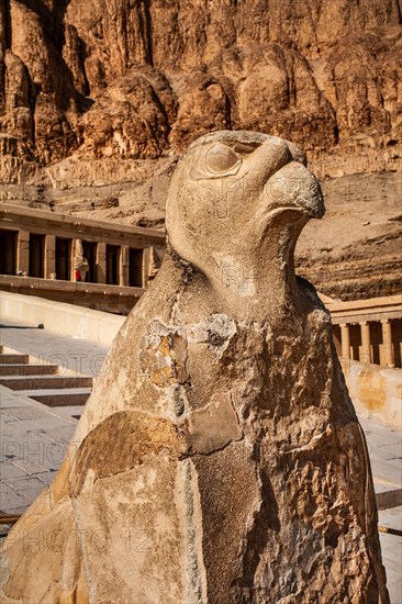 Horus falcon flanking the beginning of the ramp to the 2nd level