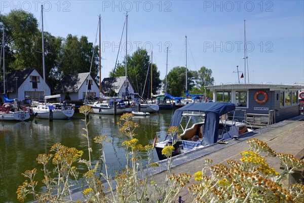 Sport boats in the marina of Rankewitz