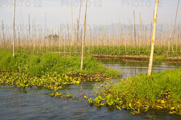 Floating fields