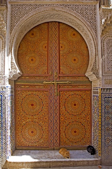 Magnificent portal in the medina
