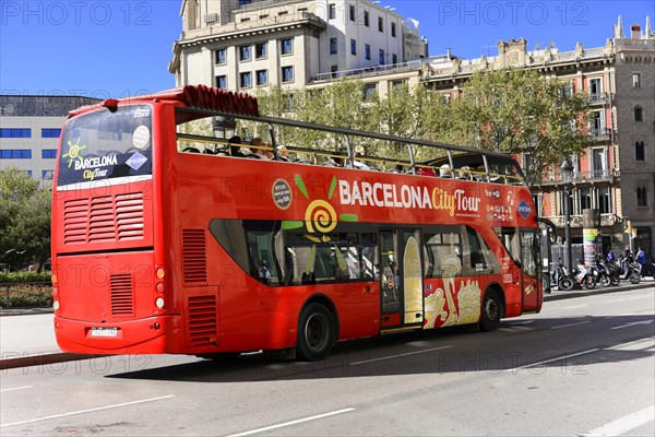 Sightseeing Bus