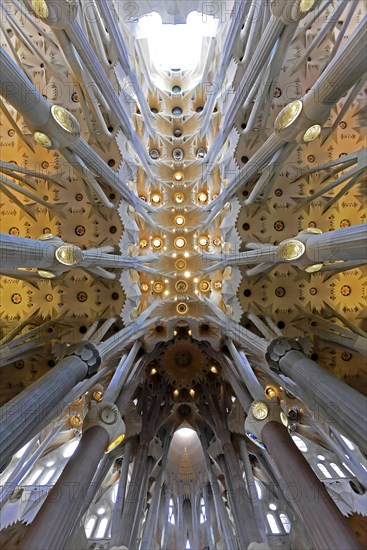 Interior of the Sagrada Familia or Basilica i Temple Expiatori de la Sagrada Familia