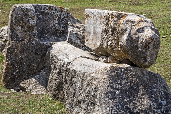 Lion Fountain