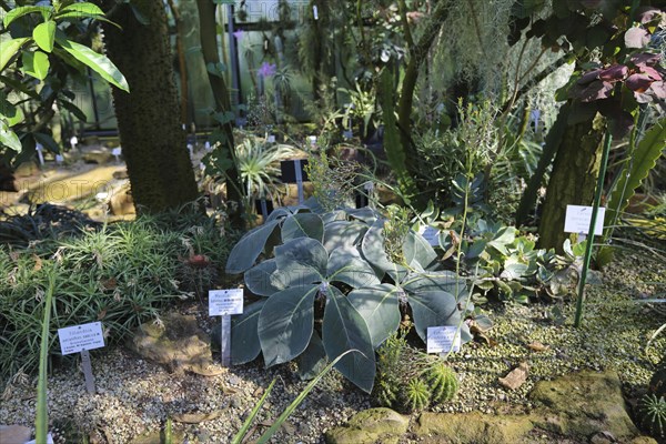 New Botanical Garden of the Eberhard Karls University of Tuebingen