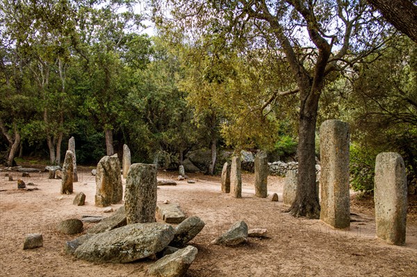 Menhir statues