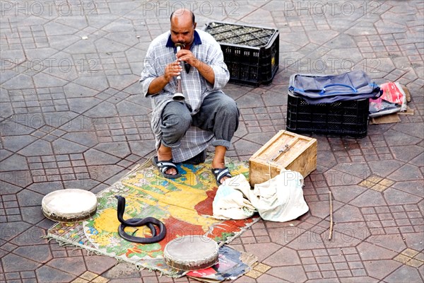 Punching charlatans on the Jemaa El-Fna