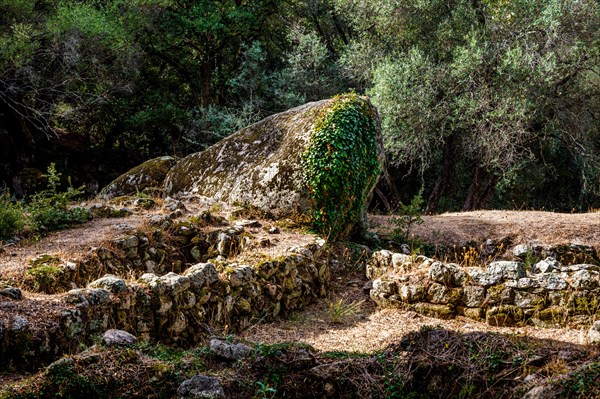 Remains of Bronze Age stone huts