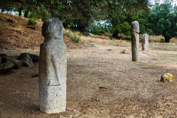 Menhir statues in the plain in front of a 1200 year old olive tree