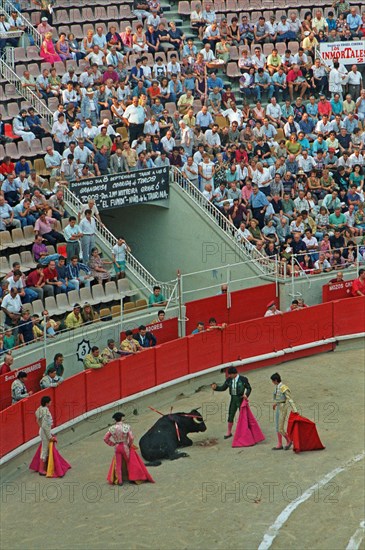 Banderillero ready to stab the bull