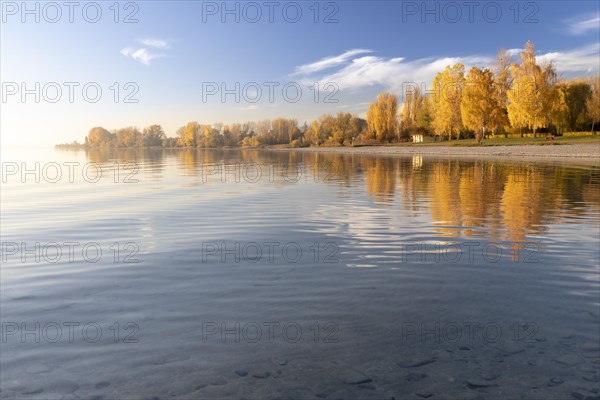 Bright autumn leaves in the afternoon on the shore in Hegne