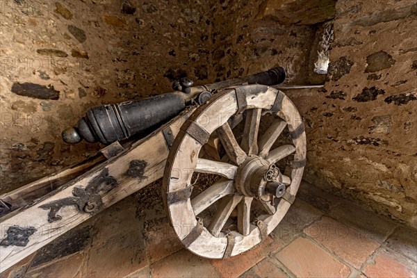Medieval cannon of the former castle