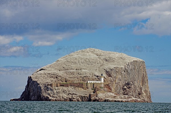 Lighthouse and cliffs